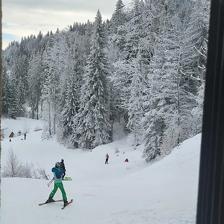 Apartament Terra Relax - In-ski Out, Sa Saunom, Kaminom I Parkingom Jahorina