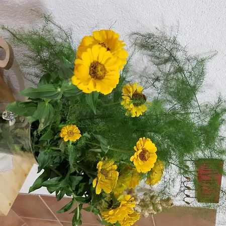 Terra Relax - In-ski Out, Sa Saunom, Kaminom I Parkingom Apartament *